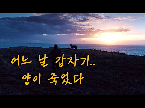 죽기 전에 읽어야 할 베스트셀러 소설을 원작으로 한 섬세함과 울림이 있는 영화