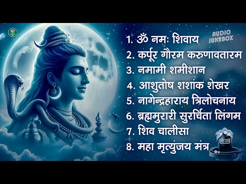 भक्ति भजन - आशुतोष शशाँक शेखर, कर्पूर गौरम करुणावतारं, ॐ नमः शिवाय,  शिव अमृतवाणी व शिव आरती