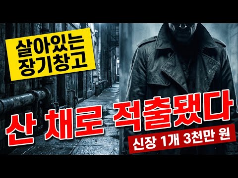 "월 500만 원 해외취업" 믿고 갔다가 | 장기가 팔렸습니다