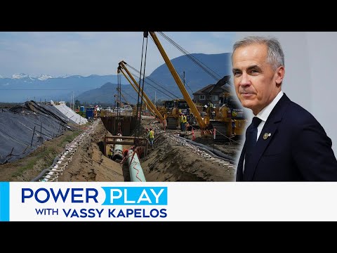 Analyst: Conservatives are trying to 'embarrass' the Liberals with the MOU vote