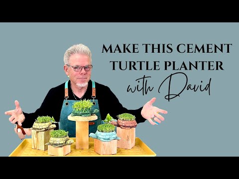 D.I.Y. CEMENT Turtle Microgreens Planter!