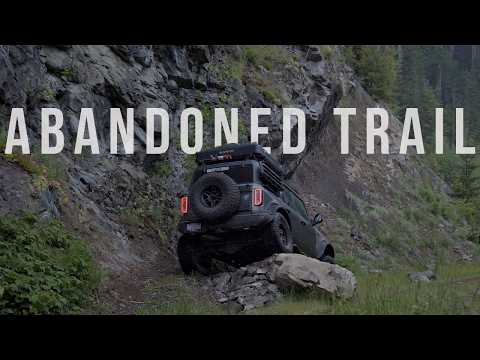 NO ONE Has Driven This Road in YEARS!