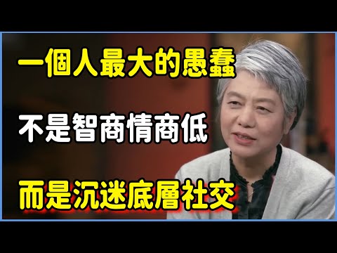 一個人最大的愚蠢，是沉迷底層社交 #圆桌派 #窦文涛 #脱口秀 #真人秀 #圆桌派第七季 #马未都
