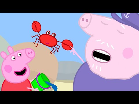 Felsbecken | Peppa-Wutz Volle Episoden