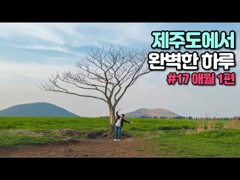 제주도 핫플은 다 모여있는 애월에서 보내는 완벽한 하루여행코스 - 풀코스 제주여행 #17