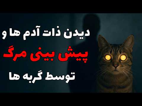 حقیقت باورنکردنی درباره حس ششم گربه‌ها | آیا گربه‌ها واقعاً ذات انسان‌ها را می‌بینند؟