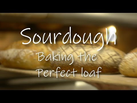 Sourdough: Baking the Perfect Loaf