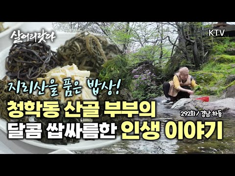 (경남 하동/292회) 청학동 산골 부부의 달콤 쌉싸름한 인생 이야기! koreatv, country, wild greens, Jiri Mountain