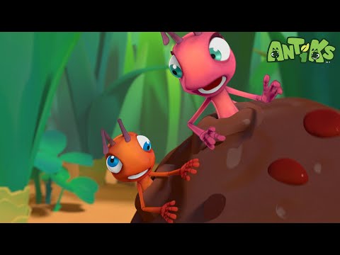 אסון קציצות!! 🧆 קריקטורות בעברית לילדים | אנימה | @AntiksOfficial - אנטיקס בעברית