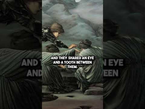 These Witches share an eye and a tooth 😬   #greekmythology #ancientgreece #ancientstory