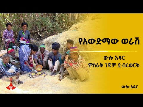 ውሎ አዳር - የአውድማው ወራሽ
