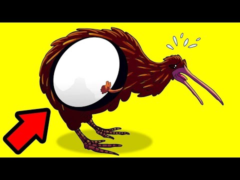 Die Einzigartigsten Eier Der Welt