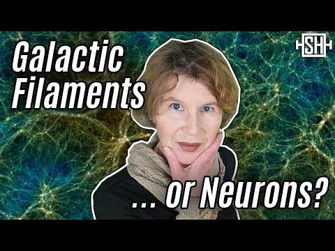 I Believe The Universe Might Be Able To Think.