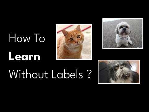 Contrastive Learning with SimCLR | Deep Learning Animated