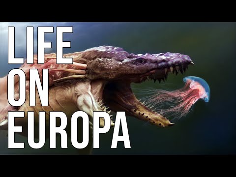 Scientists Think There Could Be LIFE on Europa and It’s Even Weirder Than We Thought!