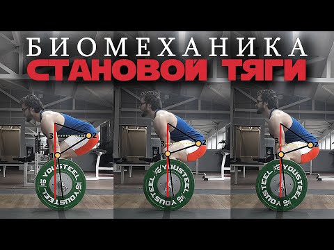 БИОМЕХАНИКА СТАНОВОЙ ТЯГИ. Как потянуть больше?