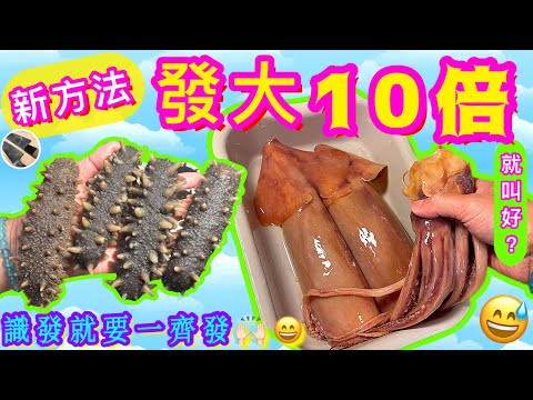 【海參浸發/土魷浸發】超抵買爽脆⭐️罕見土魷🦑一晚發起合新手👍🏻關東參發得大末必好🙈率先雙發🎋🧧🙌🏻🥳