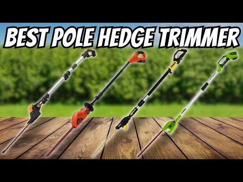 Best Pole Hedge Trimmer 2025 - The Only 5 You Need to Know