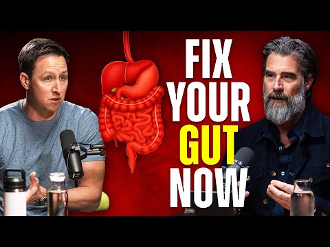 Gut Health: The Truth You’ve Never Been Told