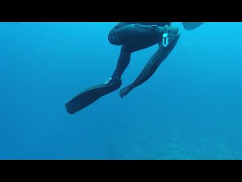 Scuba divers encounter great white shark in Bali