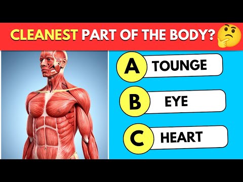 Can You Pass This Human Body Quiz? 🧠 General Knowledge Trivia Quiz