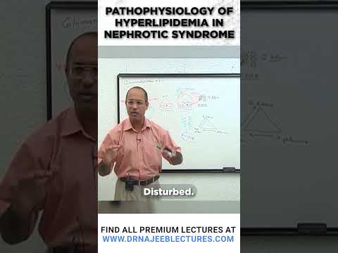 Pathophysiology Of Hyperlipidemia In Nephrotic Syndrome