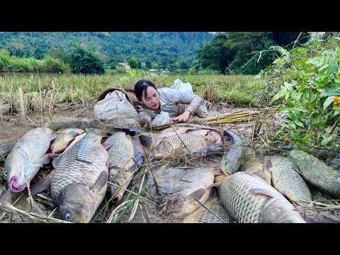Traditional Fishing Skills - Girl Catches Giant Fish in a Lush River with a Bamboo Rod