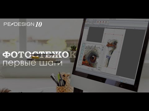 Уроки PE Design: Фотовышивка (Photostich). Страус