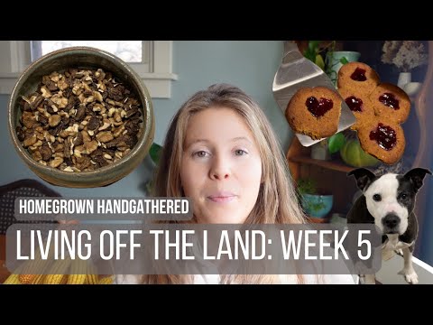 Living off what we grow, forage and hunt (Week 5)