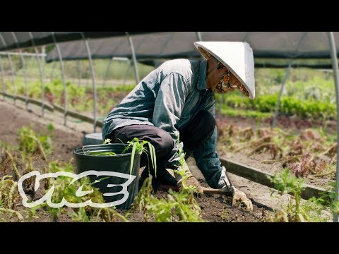 Vietnamese Cajun is the Unsung Food Hero of New Orleans | Supported by Marriott Bonvoy