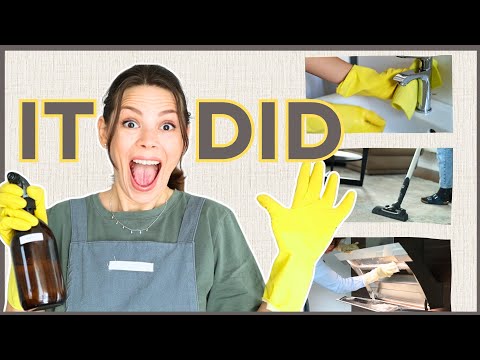Can a CLEANING SYSTEM Really Change Your Life? || FlyLady Beginners Overview (06)