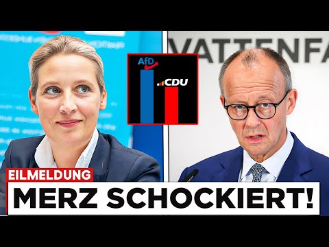 UMFRAGEHAMMER! Merz kontaktiert Alice Weidel!