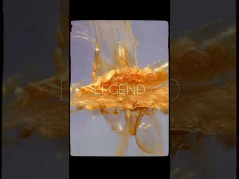 Mesmerizing HDR #hdr