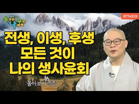 전생, 이생, 후생 모든 것이 나의 생사윤회 ㅣ광우스님 소나무 ㅣ 몰아보기 #복덕 #기도 #가피