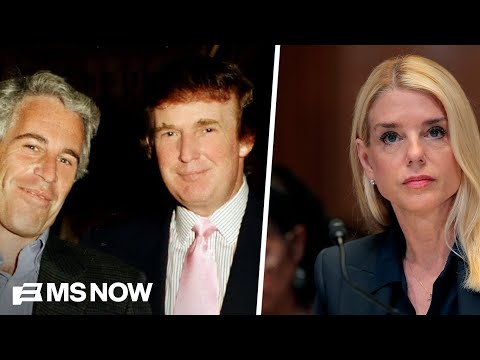 ‘Cover-up?’: New report on Trump’s ‘dirty tricks’ plan to keep Epstein files buried