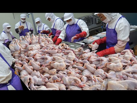 The Most Delicious Chickens Ever?! Must-try Korean Chickens Dishes BEST 6 / Korean street food