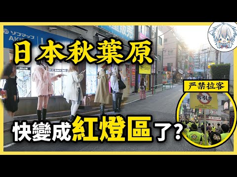 日本二次元聖地變味了？宅文化正在離開秋葉原…喜歡動漫的人又該何去何從