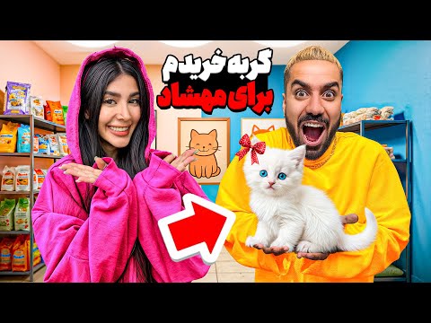 برای‌ مهشاد گربه خریدم