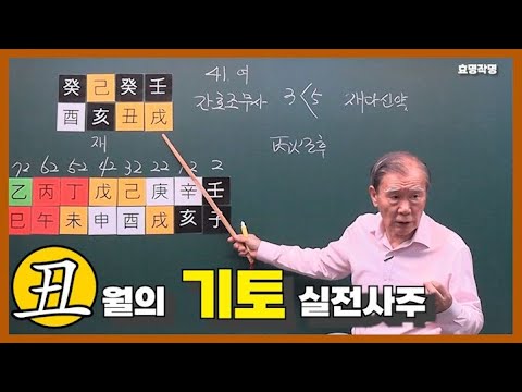 [중급] 172강 축(丑)월의 기토 실전사주🐮 (+기토론 마지막)