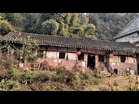He Found an Abandoned House and Transformed It into a Beautiful Paradise