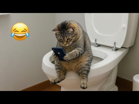 Funny Cat and Dog Videos That Will Make You Laugh 2025 🐾😂