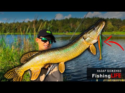 First Autumn Real Trophies - Lures For Big Pike