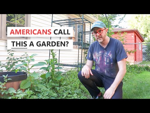 11 Words with Completely Different Meanings in Britain and America