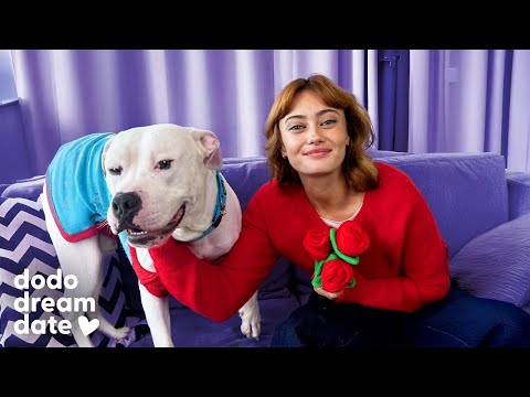 Ella Purnell Is All About Letting Her Dodo Dream Date Take The Lead | The Dodo