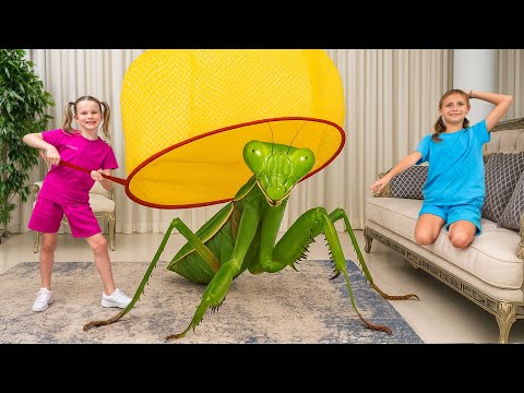 Bắt Côn Trùng Tại Nhà: Những Sự Thật Thú Vị Và Âm Thanh Của Côn Trùng Cho Bé 🐞🎶