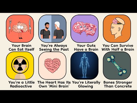 Every Mind Blowing Body Fact Explained