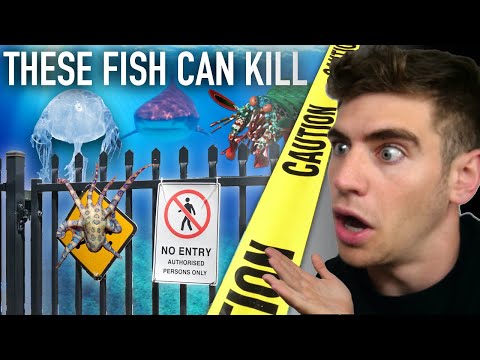 Enter the DEADLIEST Aquarium in the World... (most venomous fish) ☠️