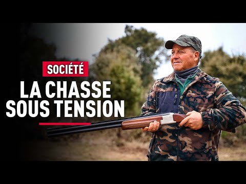 ENQUÊTE sur la CHASSE : Accidents, lobbying et quête de pouvoir... - Reportage Complet - KM