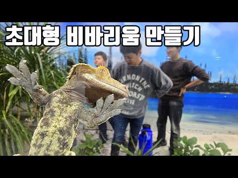 I built a huge 11m vivarium and put a bunch of crested geckos in it.