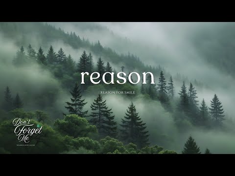Reason to Smile 🌲🌲 Relaxing Guitar Music for Deep Focus, Healing & Inner Peace